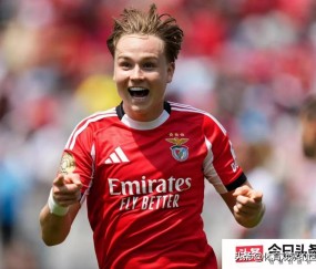 开云体育- ぁたし天使の堪忍袋翻译 